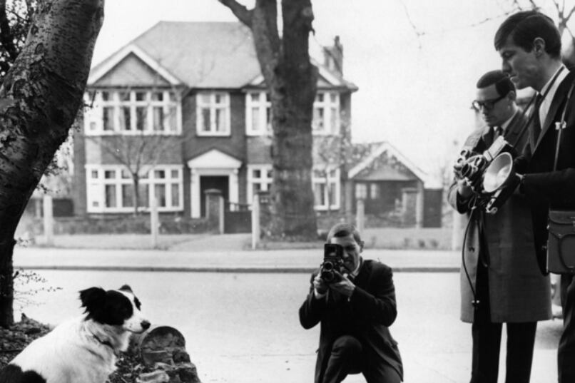 Pickles, el perro que ayudó a encontrar la Copa del Mundo.