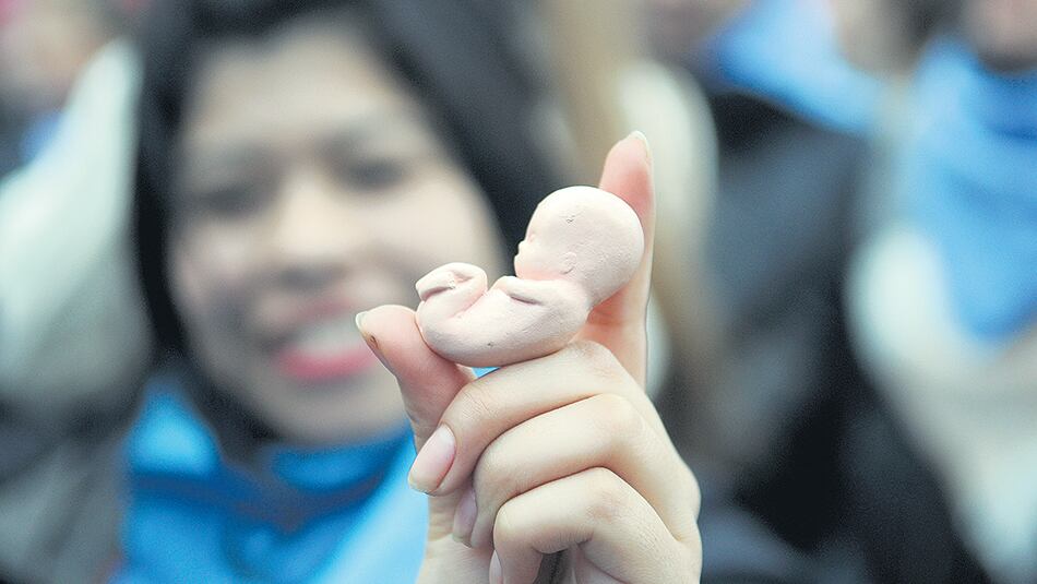 El evento es de Abogados por la Vida, que integra Argentinos por la Vida.