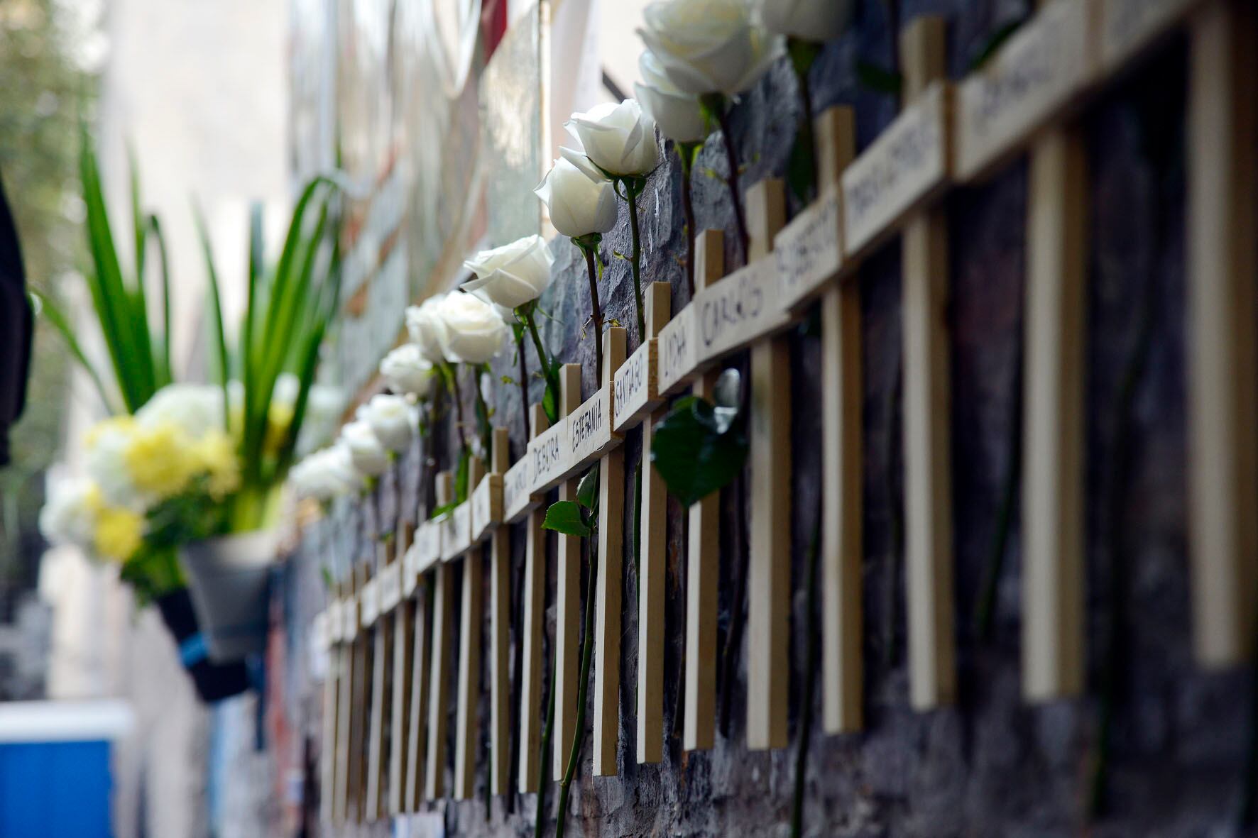 Rosas blancas en las cruces que recordaron a cada una de las personas fallecidas.