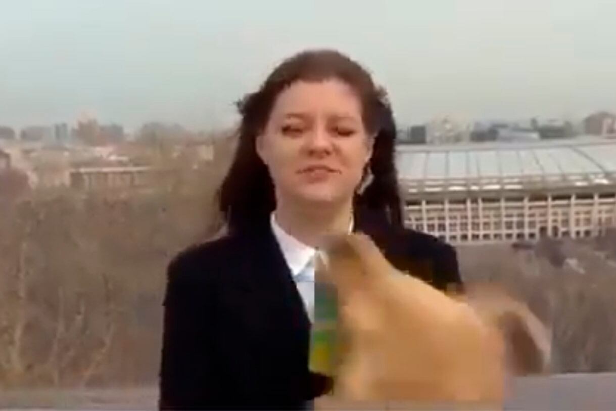 El momento en el que el perro le roba el micrófono a la periodista.  