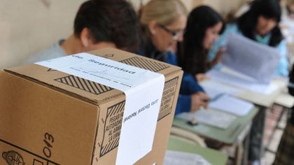 La Legislatura debe definir el futuro de las PASO. 