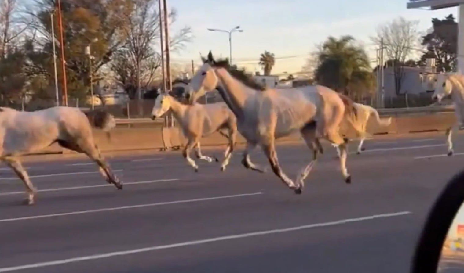 El hecho se conoció principalmente a través de usuarios de redes sociales