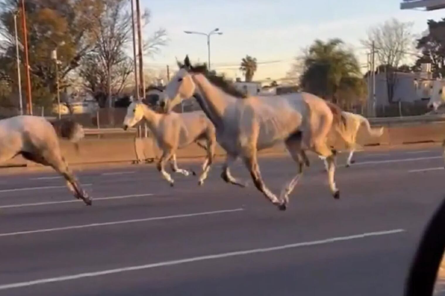 El hecho se conoció principalmente a través de usuarios de redes sociales