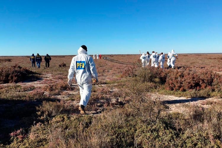 Efectivos de la Policía Federal rastrillan la zona donde apareció el cuerpo hace una semana. 