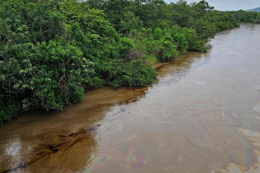 Manglares bañados en petróleo. Imagen: Julio Galarza
