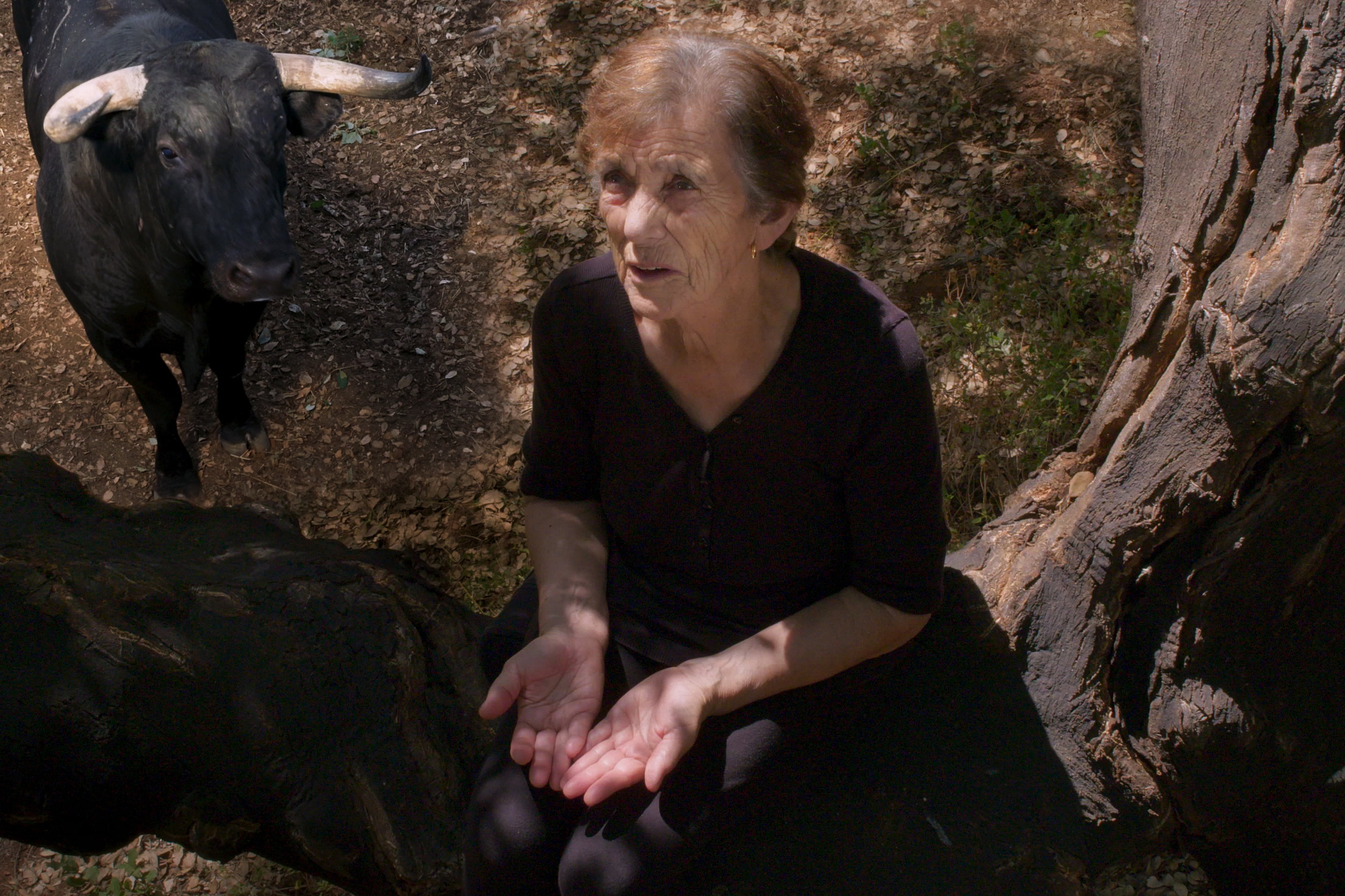 En "Fuego del viento" la naturaleza se manifiesta.