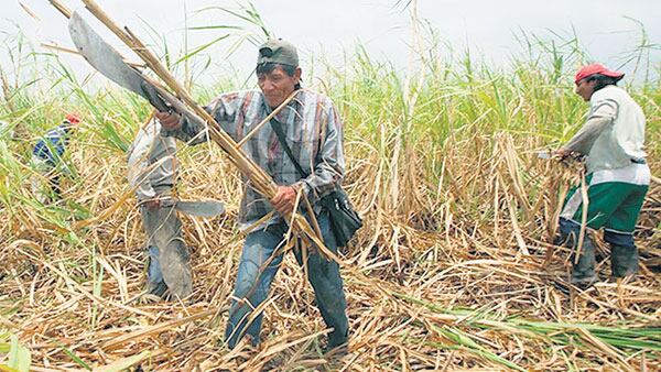 Seis mil cañeros del NOA cuestionan la suba de combustibles.