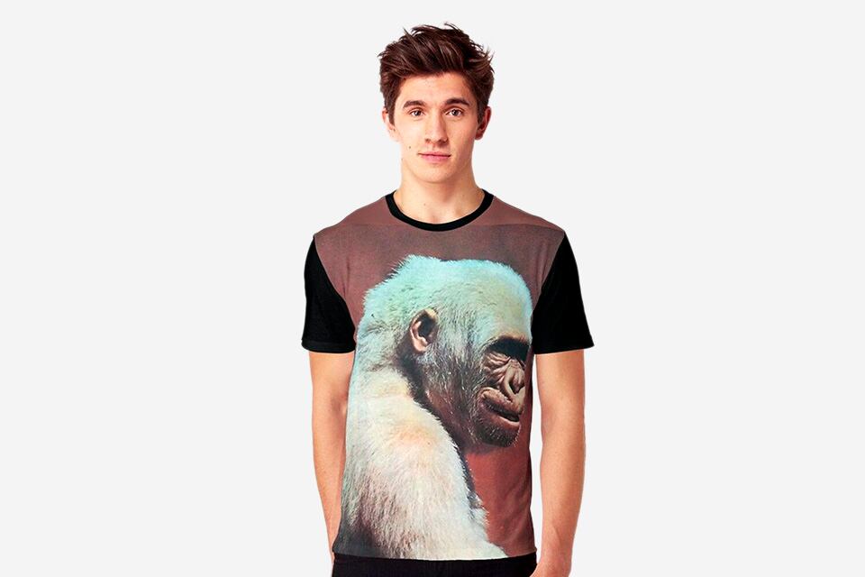 Vida cotidiana de los gorilas.