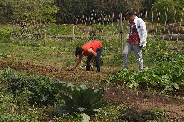 Los quinteros de Rosario saben que sus producciones se verán afectadas.