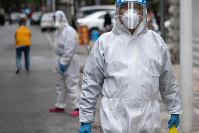 Henipavirus: detectan en China 35 casos en humanos de un nuevo virus de origen animal. Imagen: AFP.