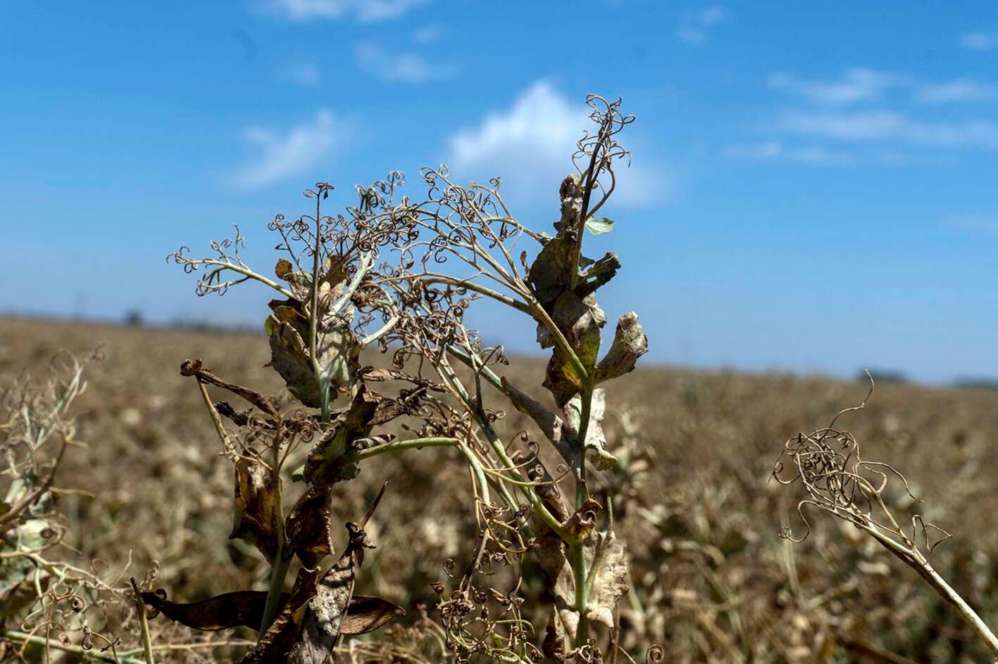 La crisis social y económica se ve agravada por una ecológica que es cada vez más profunda
