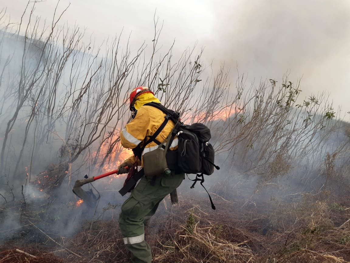 En los incendios en el Delta hay que añadir el factor climático: una bajante histórica del río Paraná, la más importante en los últimos 50 años.