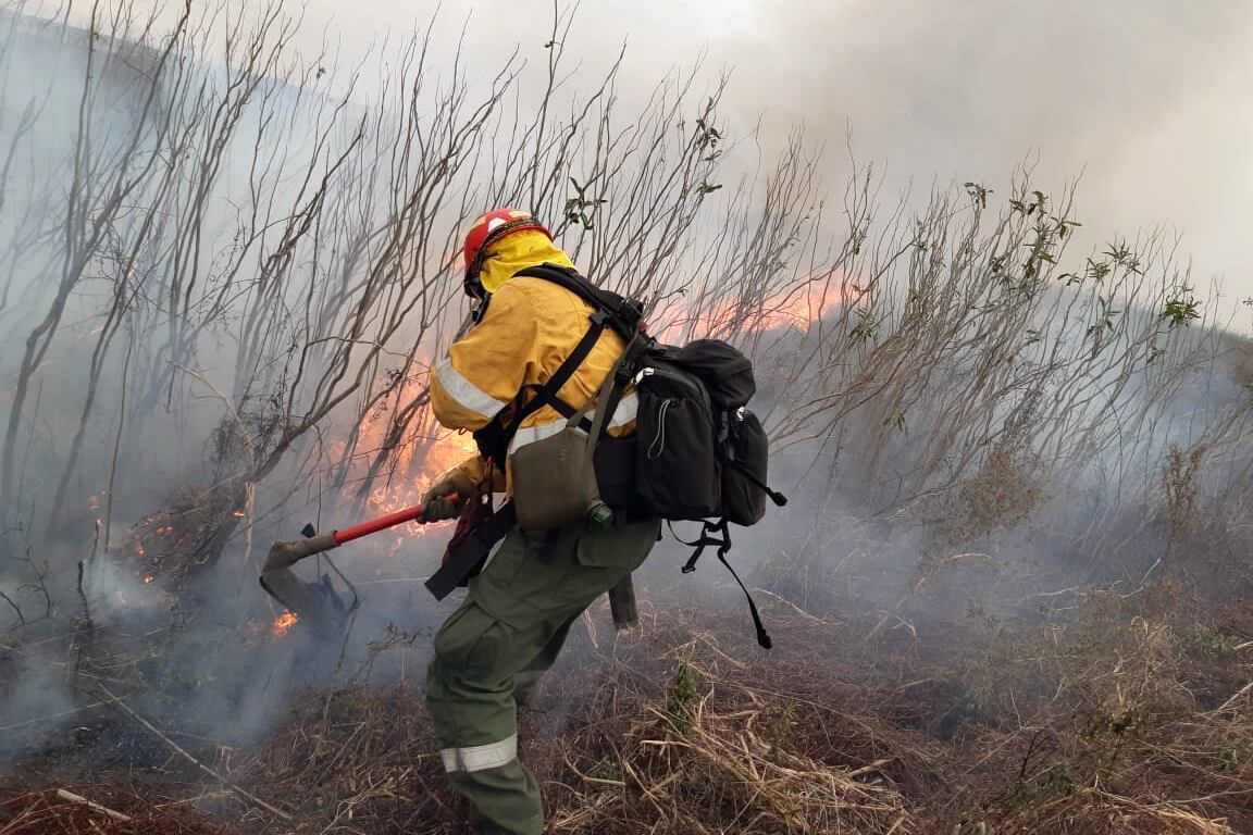 En los incendios en el Delta hay que añadir el factor climático: una bajante histórica del río Paraná, la más importante en los últimos 50 años.