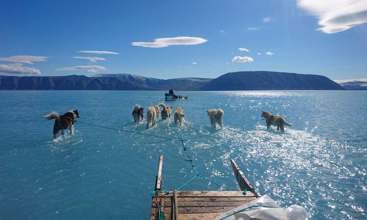 La foto que dio la vuelta en las redes y alertó sobre el cambio climático