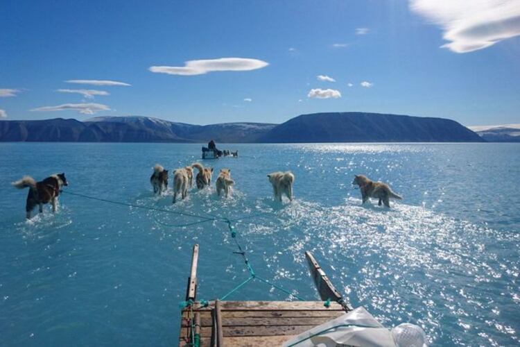 La foto que dio la vuelta en las redes y alertó sobre el cambio climático