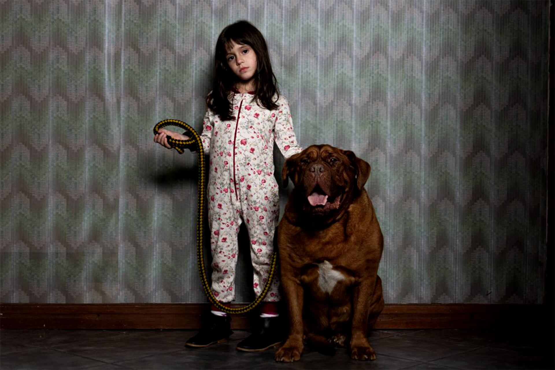 Cuando acecha la maldad se proyecta el 10 de agosto en el Konex, para la celebración del nuevo terror albiceleste.