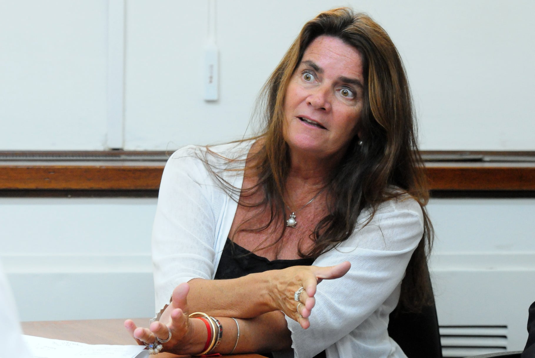 Carina Lurati detalló la actividad penal en feria, limitada a la investigación preparatoria.