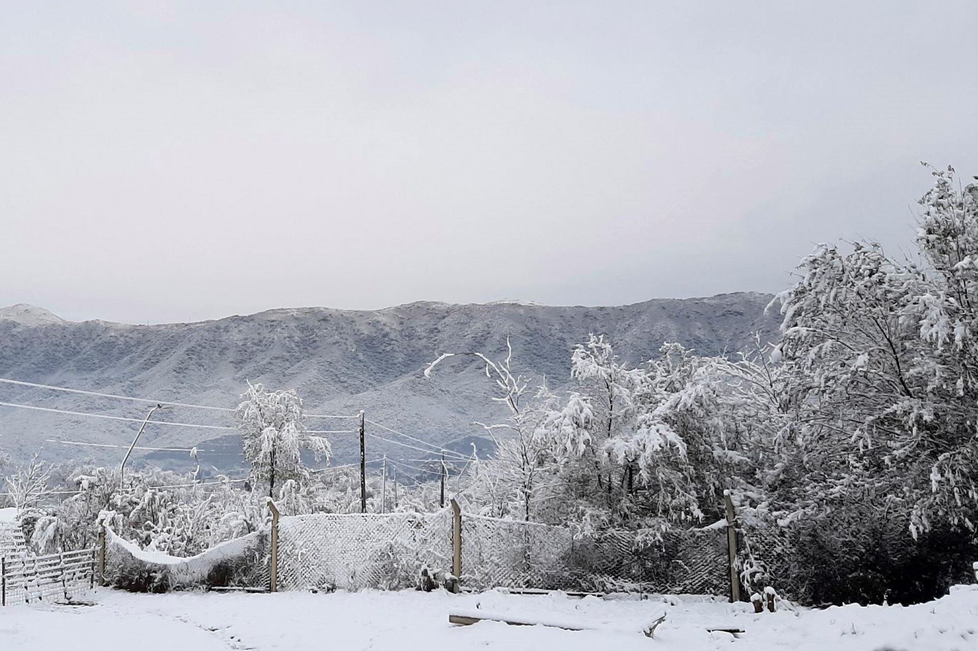 Alerta amarilla en cuatro provincias por fuertes vientos y nevadas ...