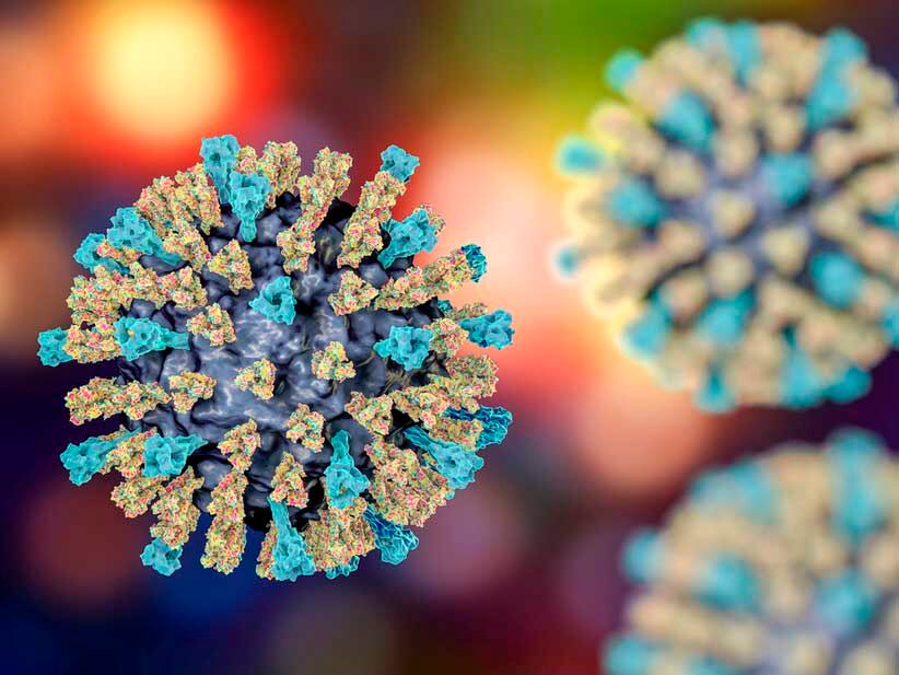 Virus causante del sarampión.