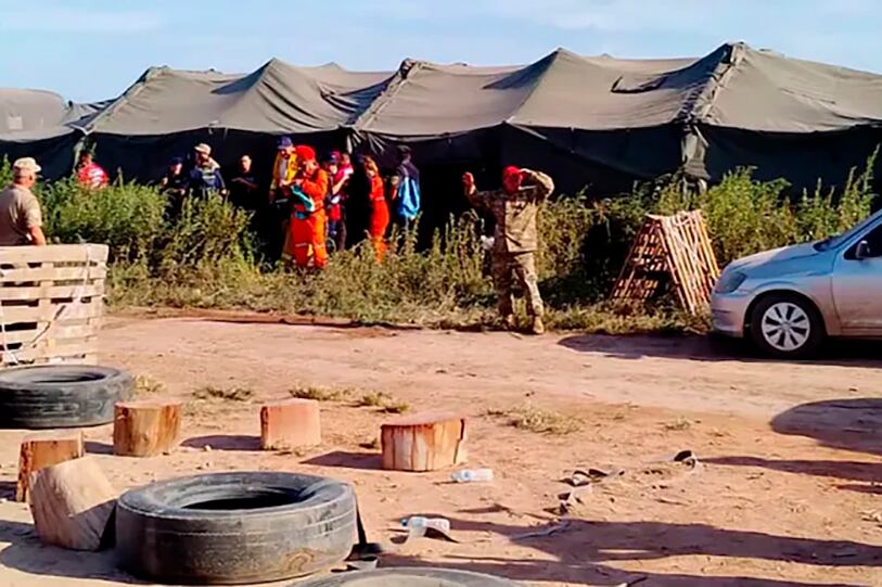 Lian mide 90 centímetros, es más bajito que las plantas listas para cosechar.