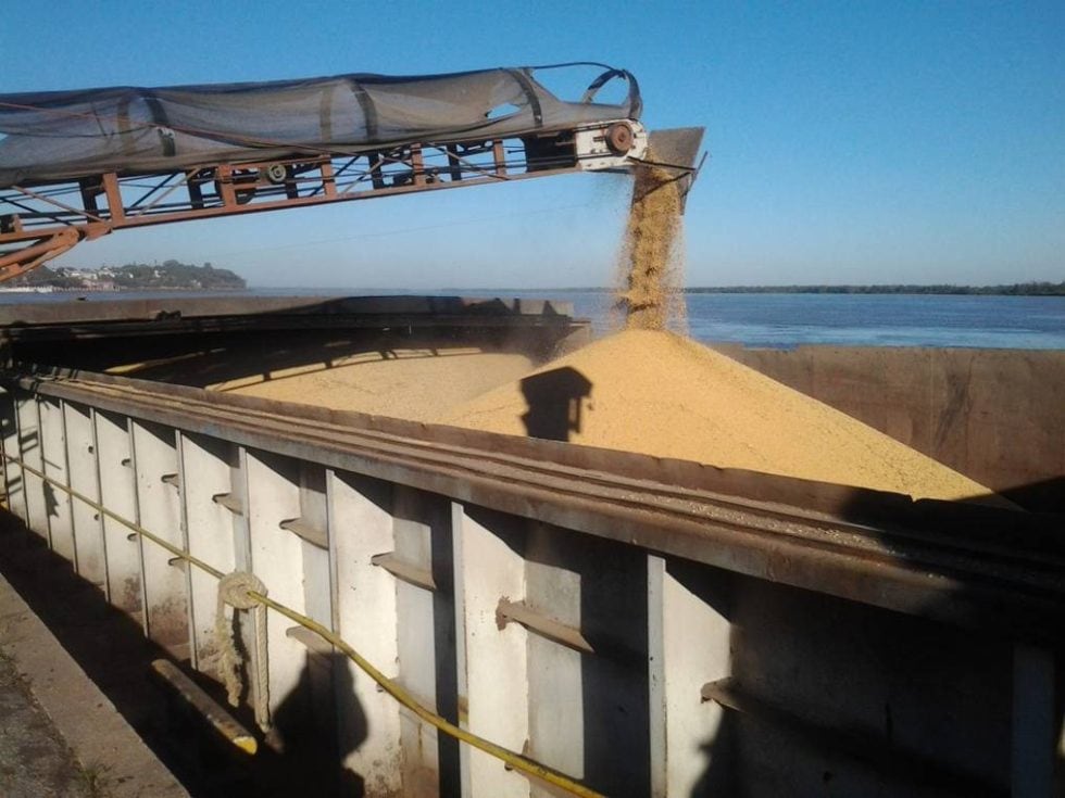 La liquidación de exportaciones agrícolas volvió a subir en abril