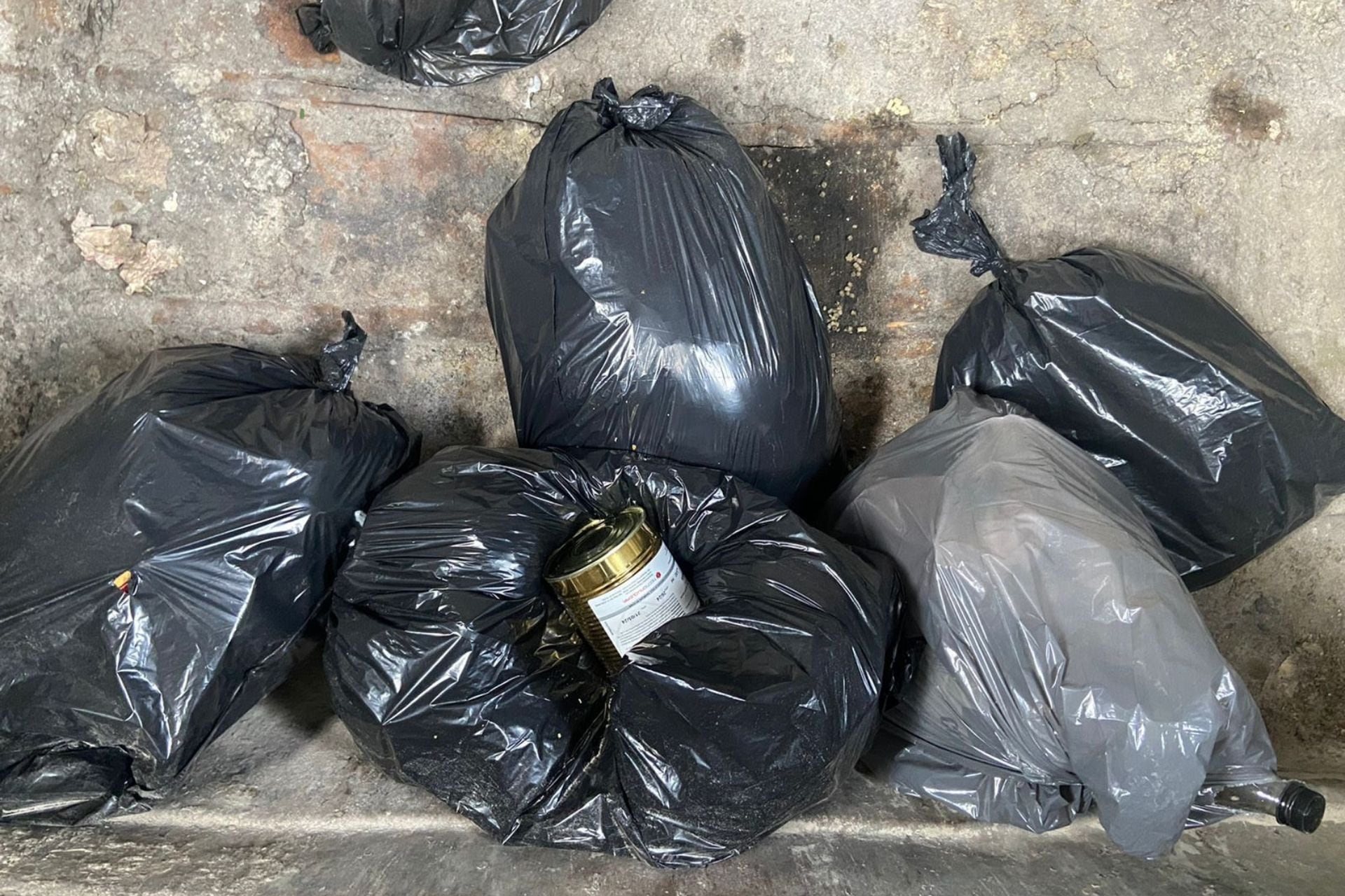 Apareció el material radiactivo robado en Saavedra