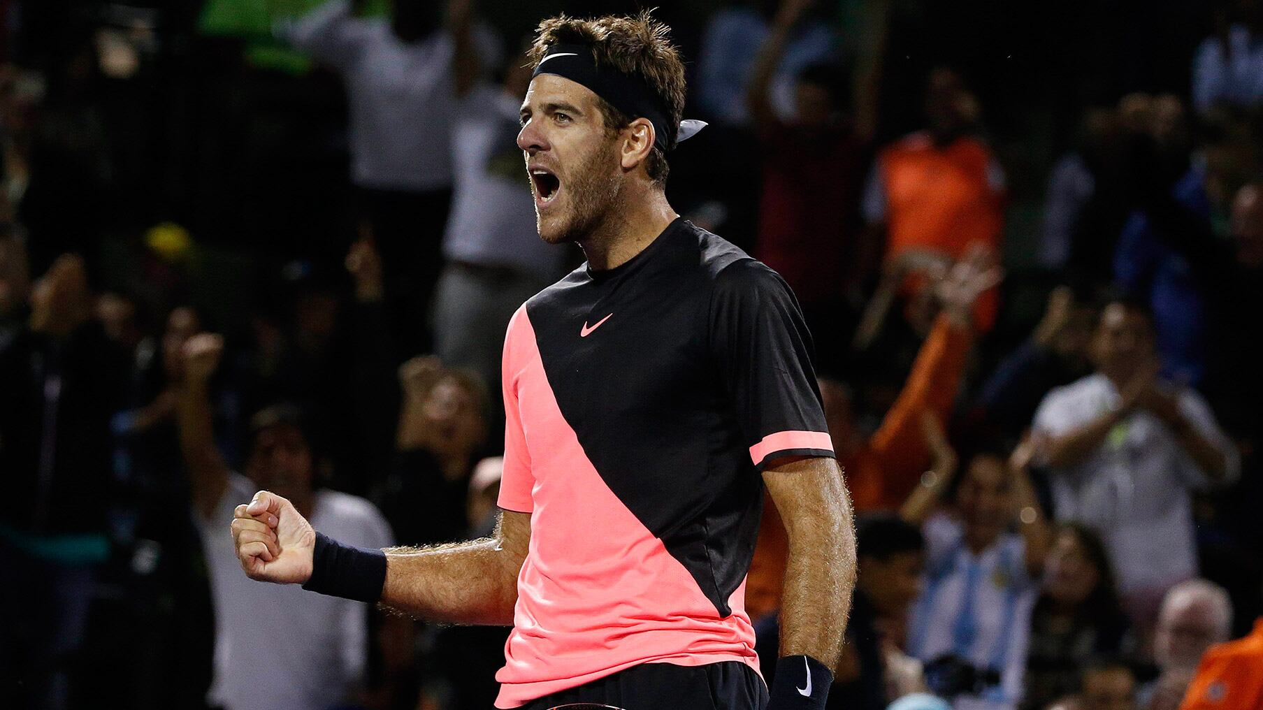 Del Potro estuvo cerca de abandonar la final del primer set por problemas físicos.