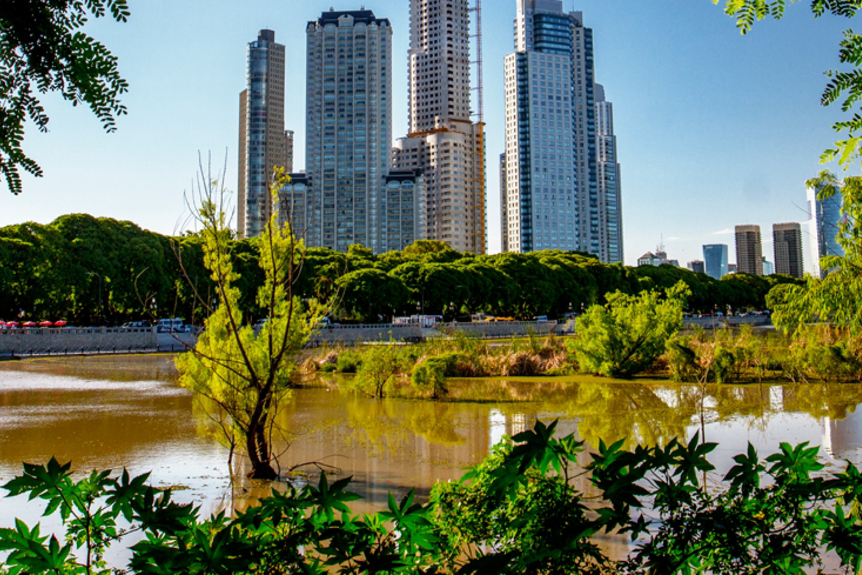 La reserva ecológica de Costanera Sur se sitúa detrás de Puerto Madero.
