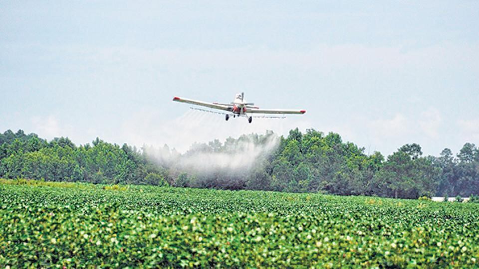 La federación que reúne a los pilotos que fumigan recomedó no aplicar glifosato cerca de escuelas y centros urbanos.