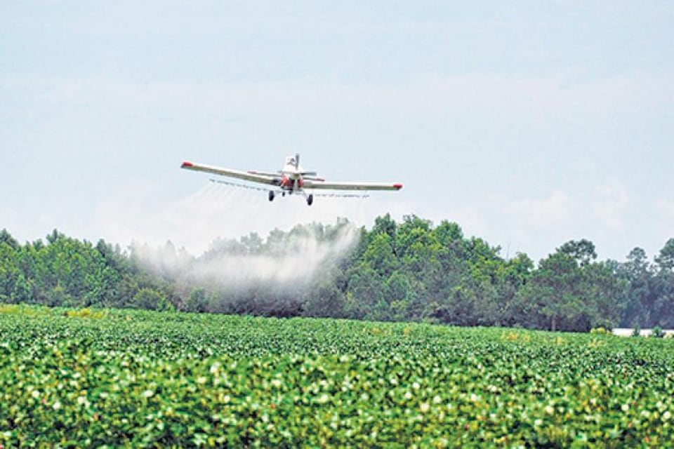 La federación que reúne a los pilotos que fumigan recomedó no aplicar glifosato cerca de escuelas y centros urbanos.