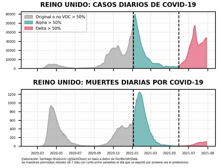 Variante Delta, qué pasará en Argentina.