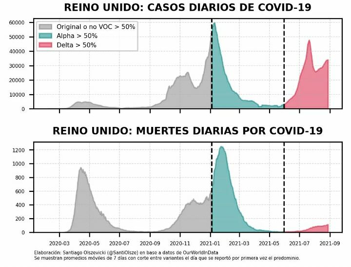 Variante Delta, qué pasará en Argentina.