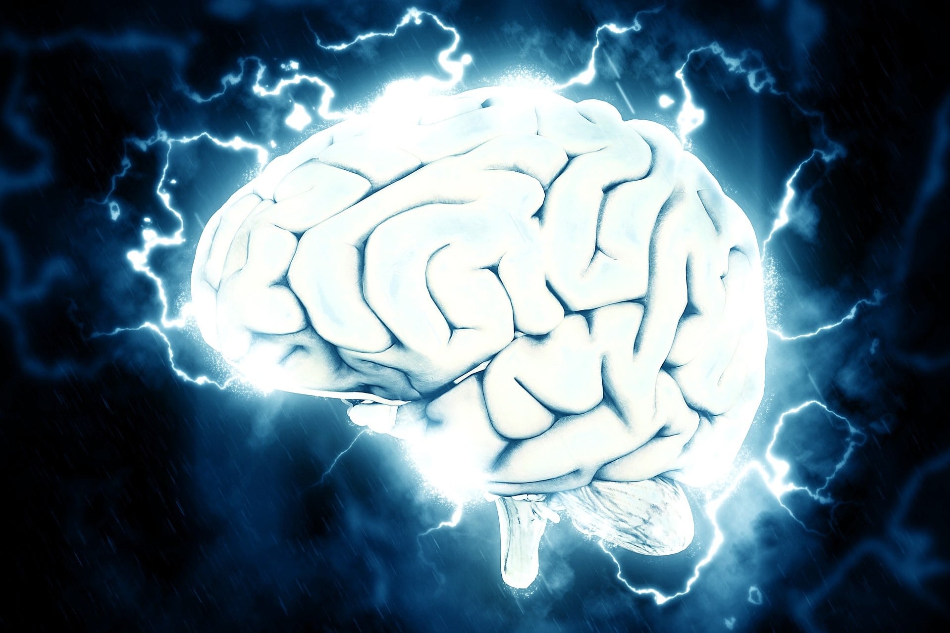 Este 22 de julio se celebra el Día Mundial del Cerebro. Imagen: Pixabay.