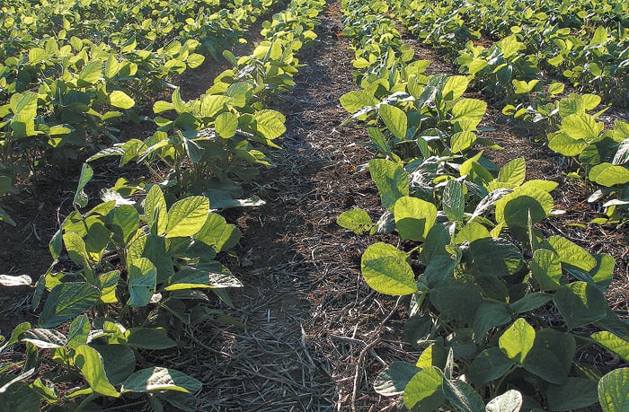 En el juicio participaron más de mil organizaciones de todo el mundo.