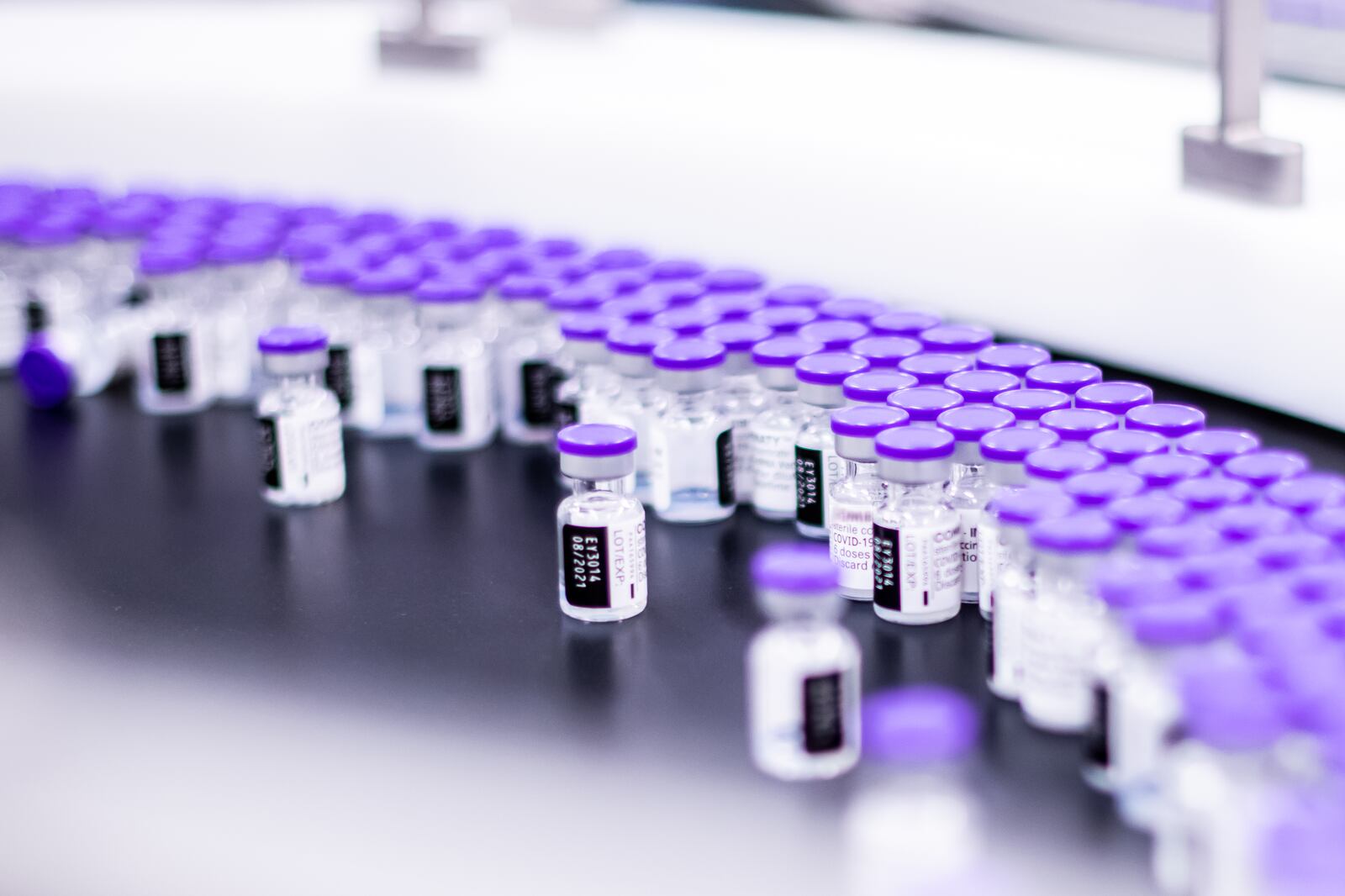 Imagen: Pfizer oficial