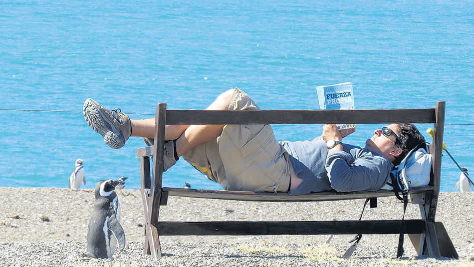 Sala propone rever las estrategias de conservación de especies y ecosistemas.