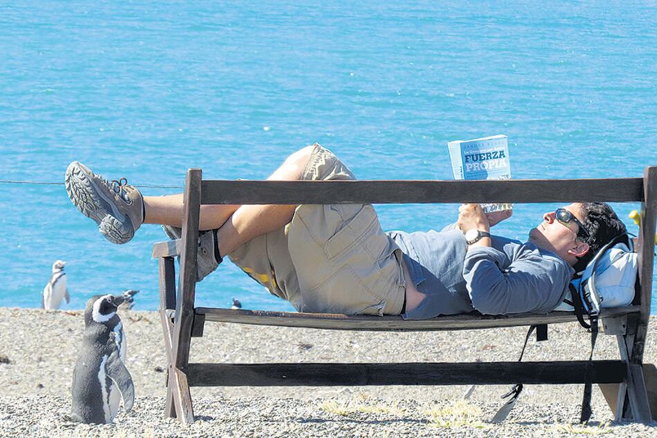 Sala propone rever las estrategias de conservación de especies y ecosistemas.