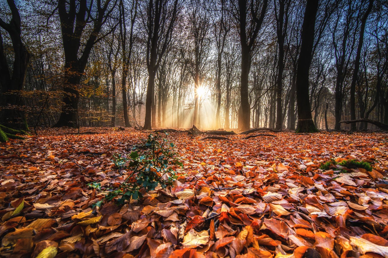 El Otoño 2022 y el equinoccio