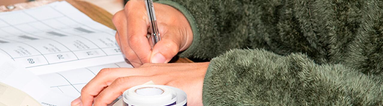 Web del Servicio Electoral de Chile