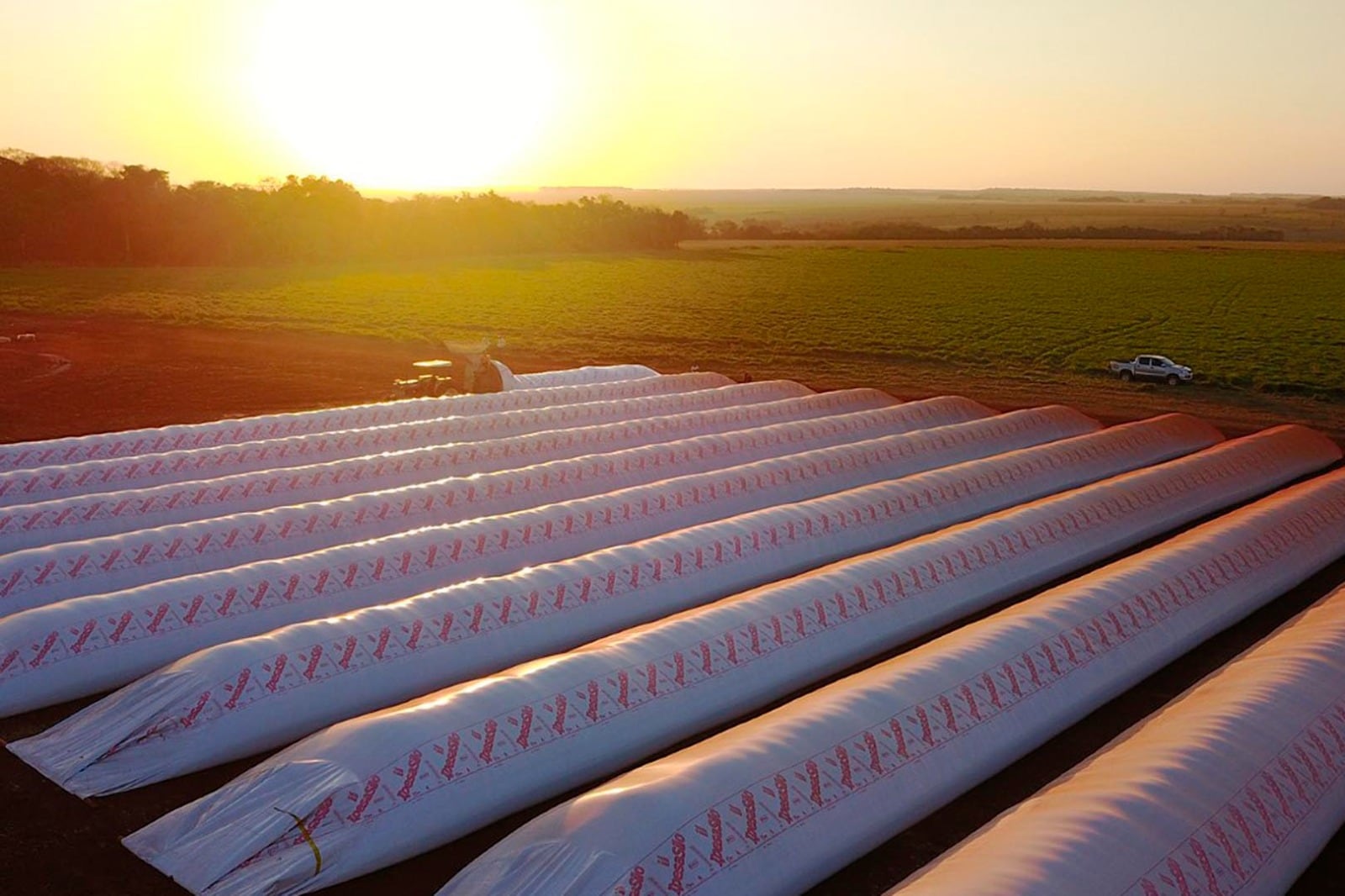 Se calcula que hay entre 8 y 10 millones de toneladas almacenadas en el campo