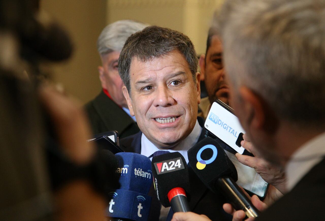 Facundo Manes comunicó su decisión a través de Twitter. 