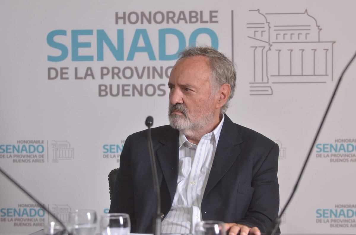 Joaquín De la Torre, el senador que se fue del bloque de Milei.