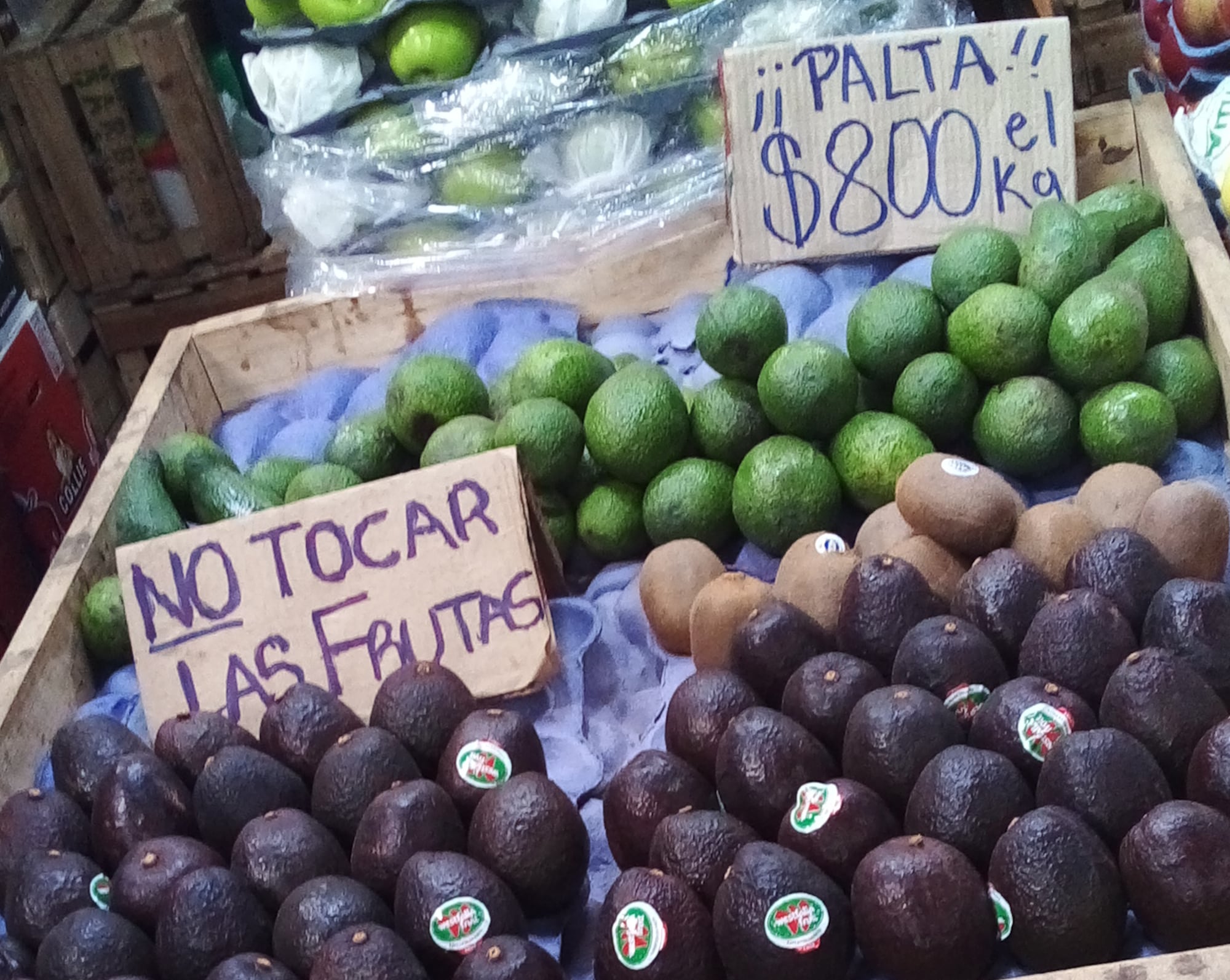 La palta en el mercado COFRUTHOS la semana pasada. Arriba nacional, abajo importada.