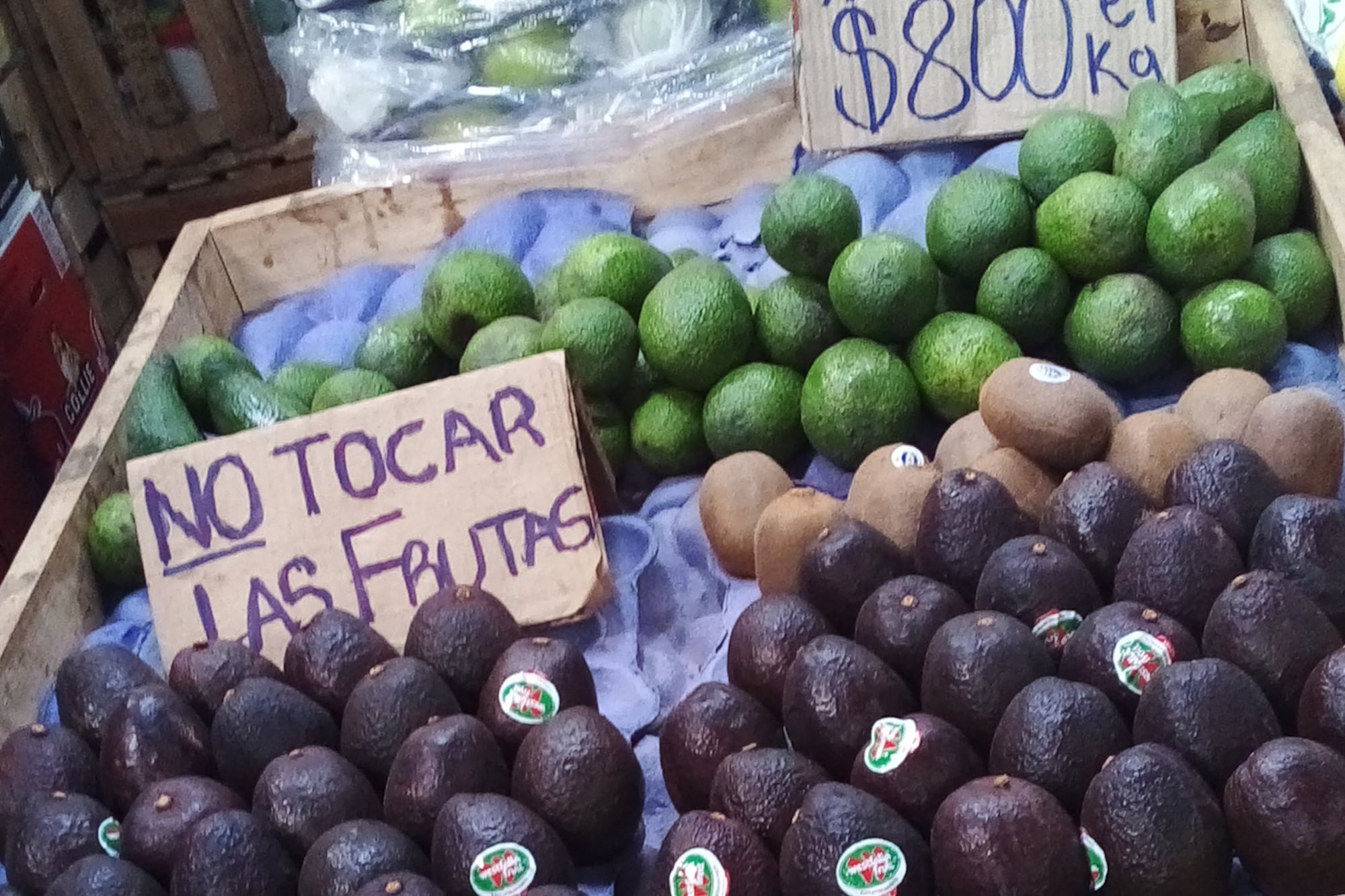 La palta en el mercado COFRUTHOS la semana pasada. Arriba nacional, abajo importada.
