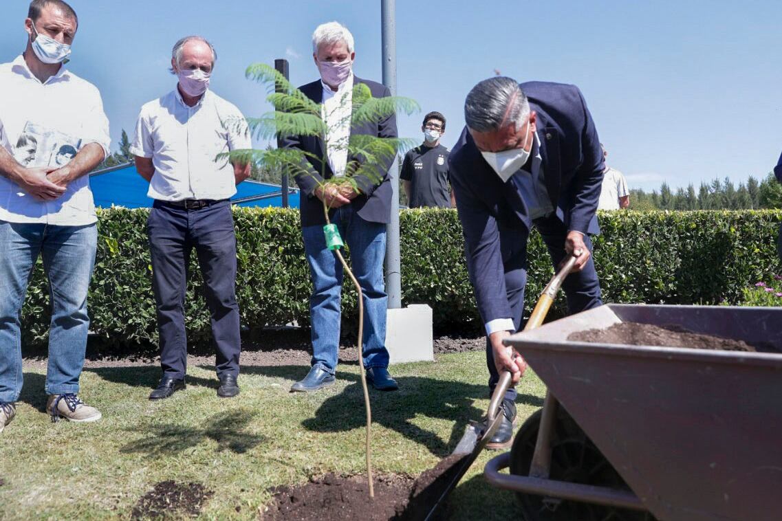 Claudio Tapia, presidente de la AFA, plantando un árbol.