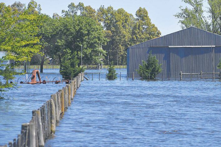 El 50 por ciento de General Villegas está anegado y hay pérdidas millonarias.