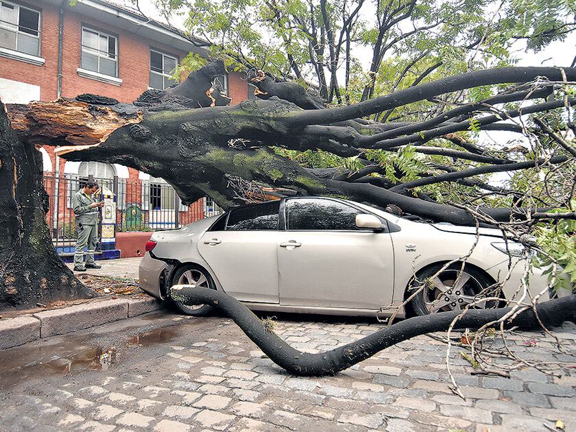 Uno de los muchos autos aplastados por la caída de árboles, en Parque Centenario.