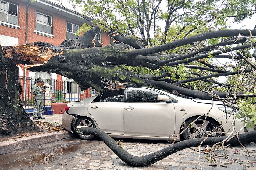 Uno de los muchos autos aplastados por la caída de árboles, en Parque Centenario.