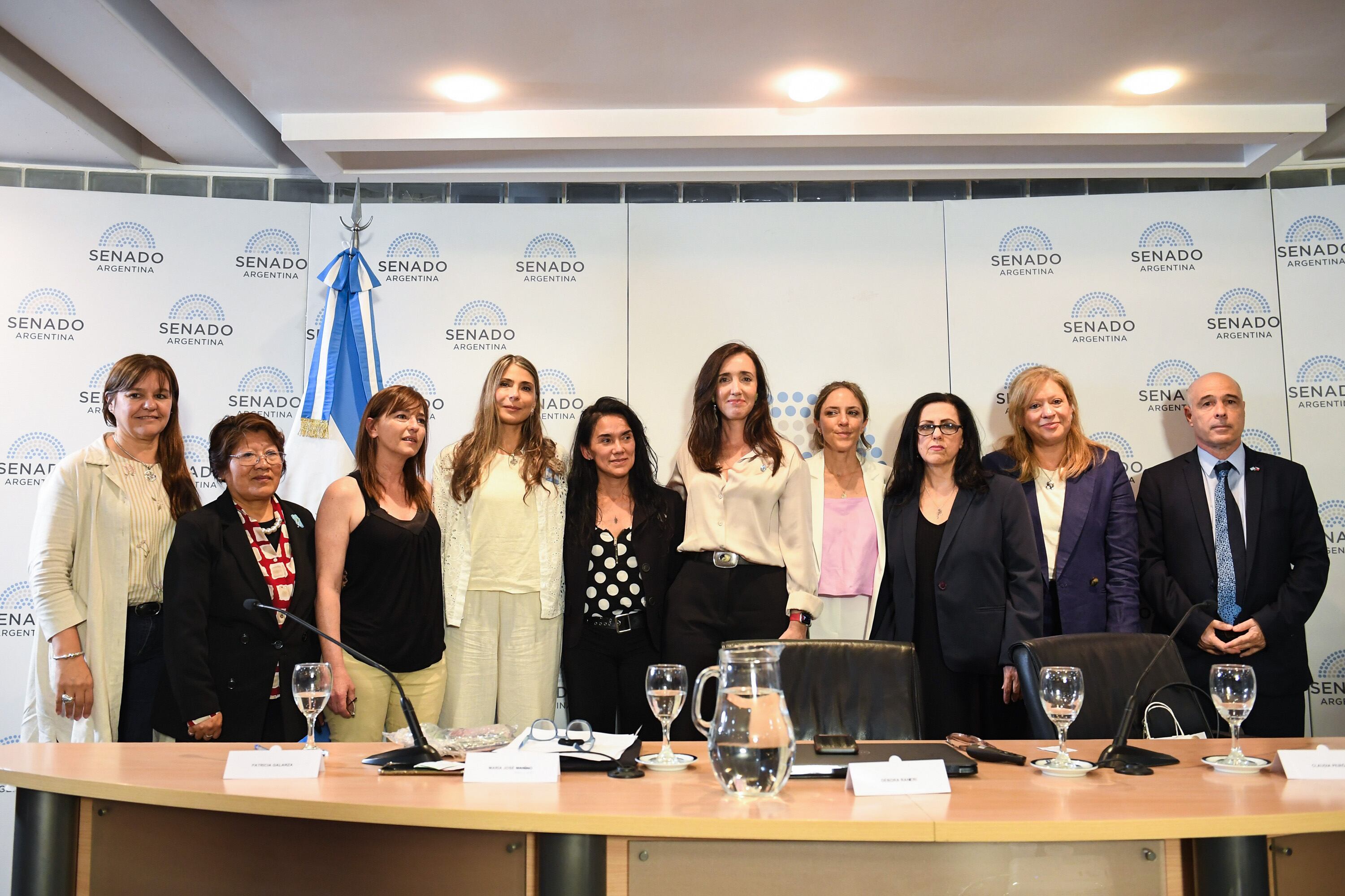 Convocatoria realizada el 7 de noviembre de 2024 por la vicepresidenta: "Seminario II: Género e identidad: El problema de la sexualización infantil".