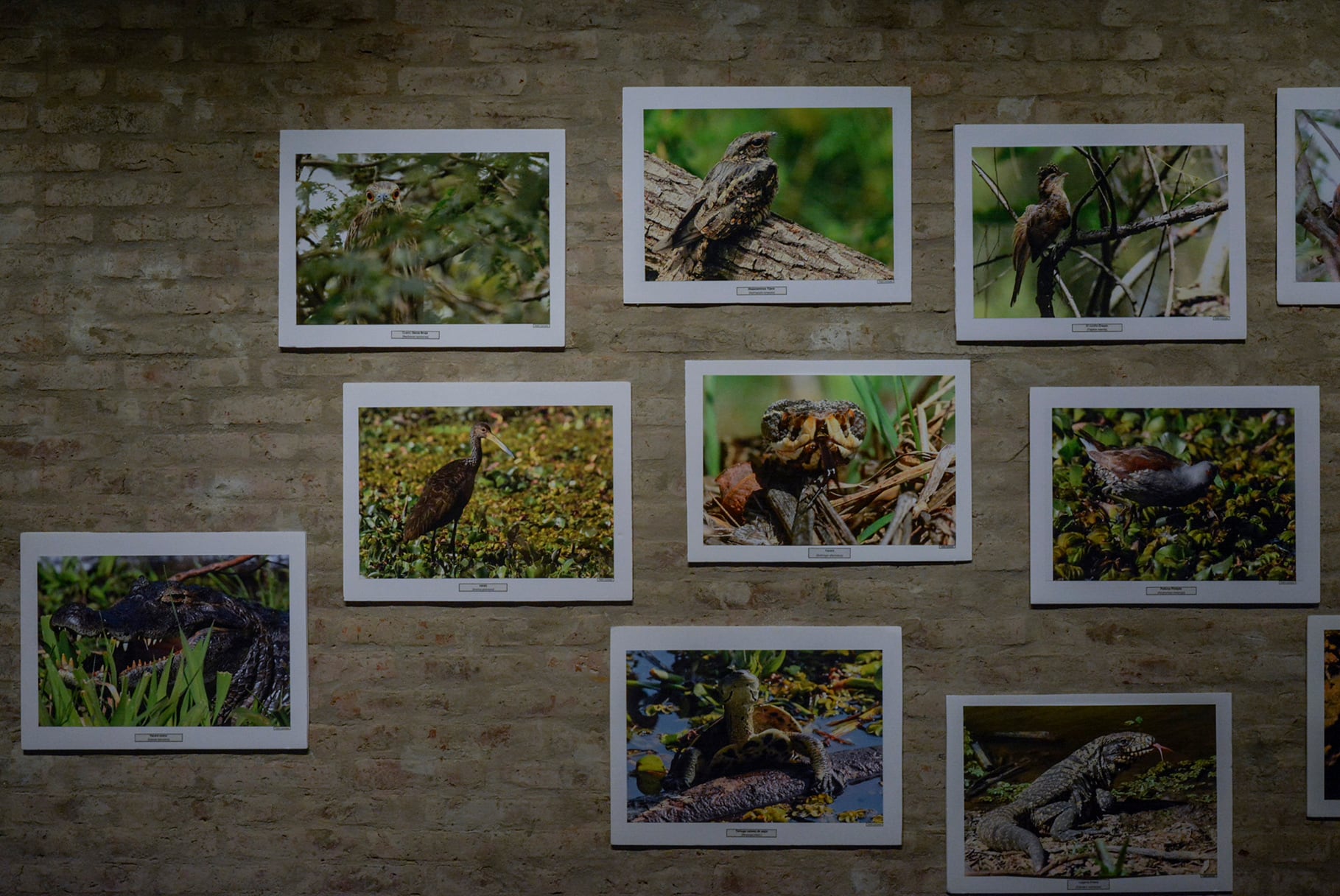 La instalación pone de relieve el impacto de la problemática geopolítica y económica en diversos ríos del mundo.